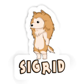 Collie Sticker Sigrid Image