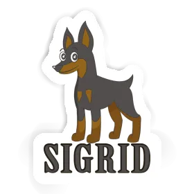 Sticker Sigrid Pinscher Image