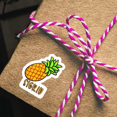 Sticker Pineapple Sigrid Gift package Image