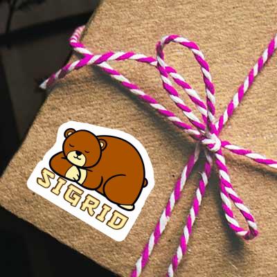 Aufkleber Bär Sigrid Gift package Image