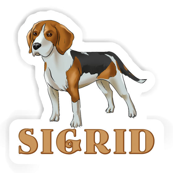 Beagle Autocollant Sigrid Gift package Image