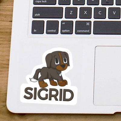 Sticker Sigrid Berner Sennenhund Notebook Image