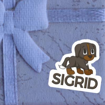 Bernese Mountain Dog Sticker Sigrid Gift package Image