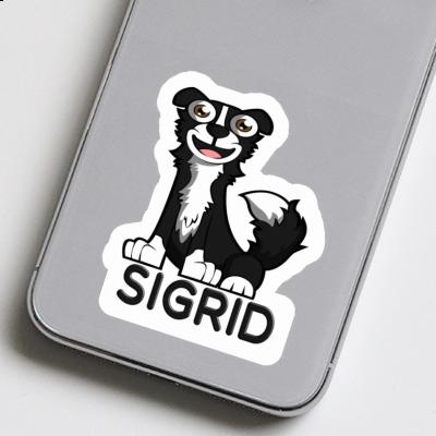 Sticker Sigrid Collie Laptop Image