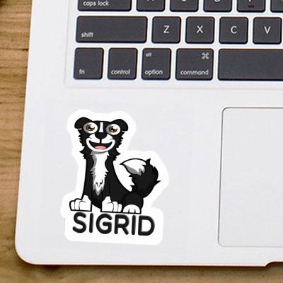 Sigrid Autocollant Collie Laptop Image