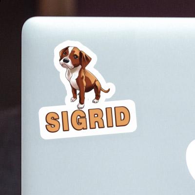 Sticker Sigrid Boxer Gift package Image
