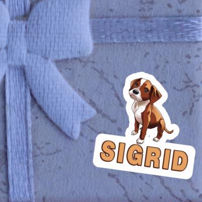 Sticker Sigrid Boxer Gift package Image