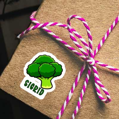 Sigrid Sticker Broccoli Gift package Image