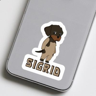 Sticker German Wirehaired Pointer Sigrid Notebook Image