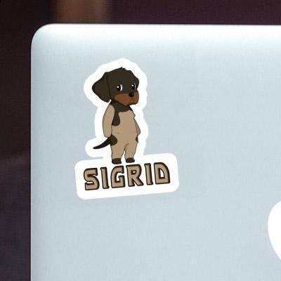 Sticker German Wirehaired Pointer Sigrid Image