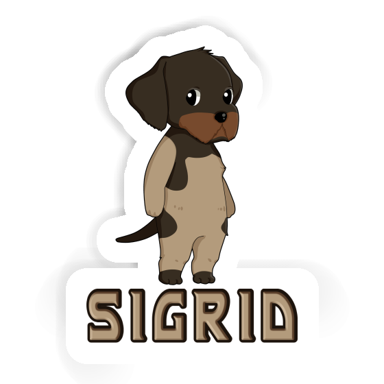 Sticker German Wirehaired Pointer Sigrid Laptop Image