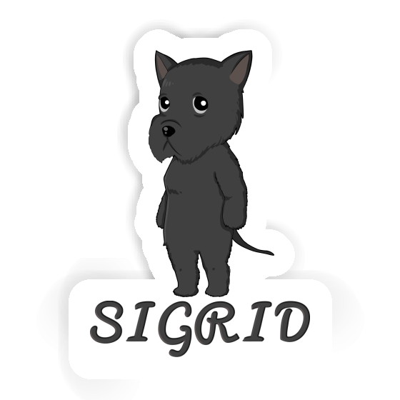 Sticker Giant Schnauzer Sigrid Gift package Image