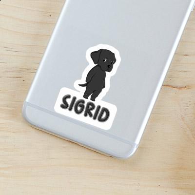 Sigrid Autocollant Labrador Gift package Image