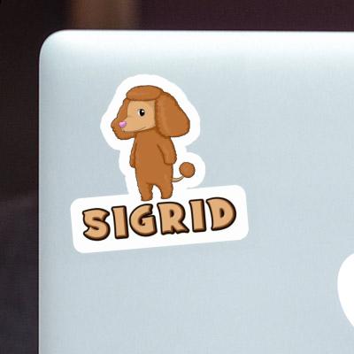 Caniche Autocollant Sigrid Laptop Image