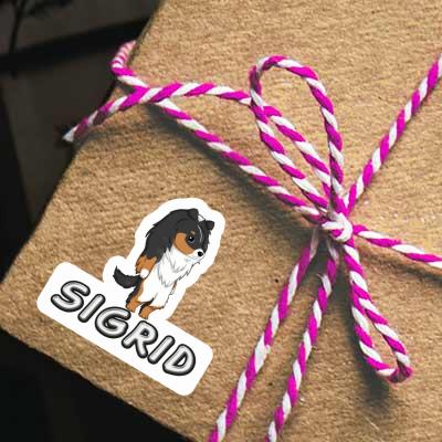 Aufkleber Sigrid Schäferhund Gift package Image