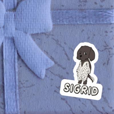 Sticker Sigrid Munsterlander Gift package Image