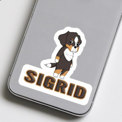 Sticker Sigrid Bernese Mountain Dog Laptop Image