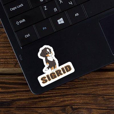 Sticker Sigrid Bernese Mountain Dog Image