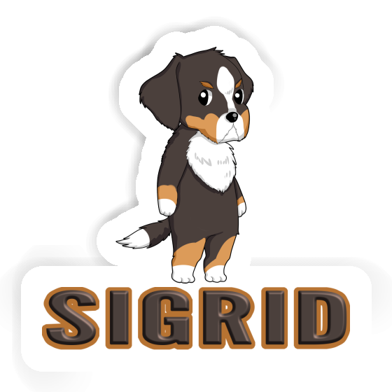 Sticker Sigrid Bernese Mountain Dog Gift package Image