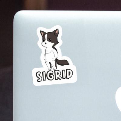 Aufkleber Border Collie Sigrid Laptop Image