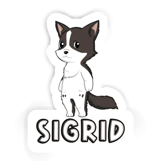 Autocollant Sigrid Collie border Image