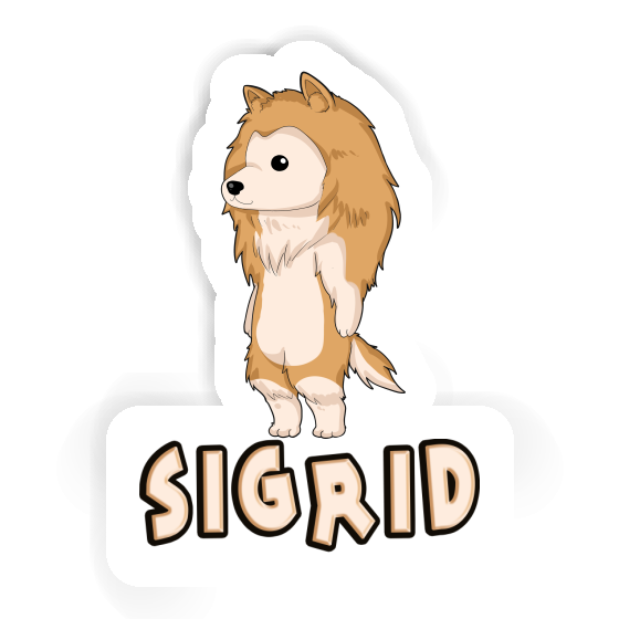 Collie Sticker Sigrid Gift package Image