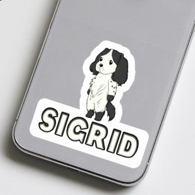 Sigrid Aufkleber Spaniel Gift package Image