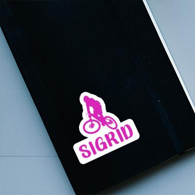 Sigrid Sticker Downhiller Gift package Image