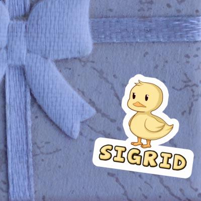 Sigrid Sticker Duck Gift package Image
