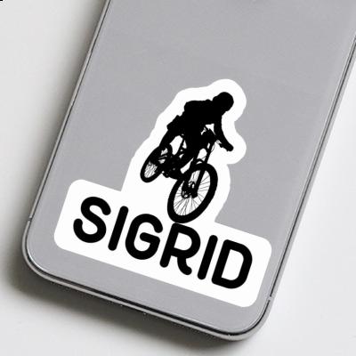 Freeride Biker Sticker Sigrid Laptop Image