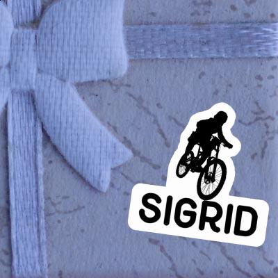 Sigrid Aufkleber Freeride Biker Gift package Image