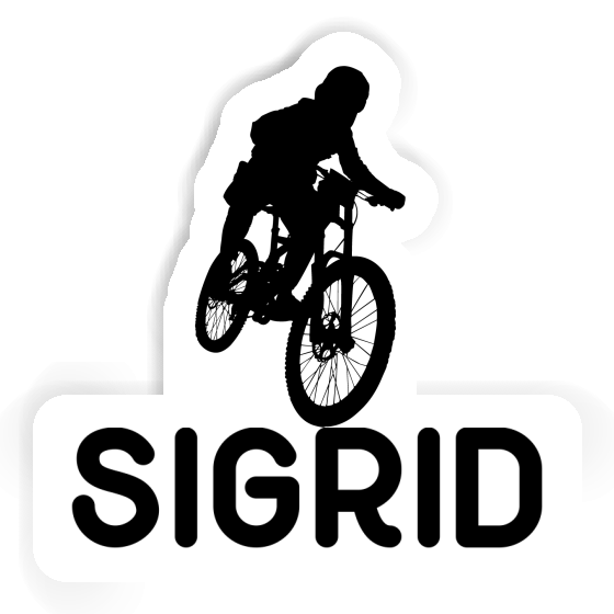 Sigrid Aufkleber Freeride Biker Gift package Image