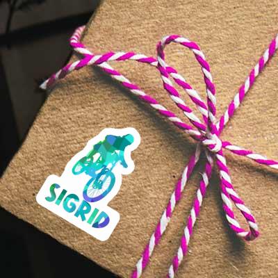 Sigrid Sticker Freeride Biker Laptop Image