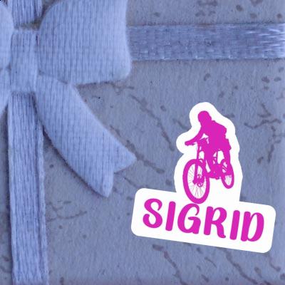 Freeride Biker Sticker Sigrid Laptop Image