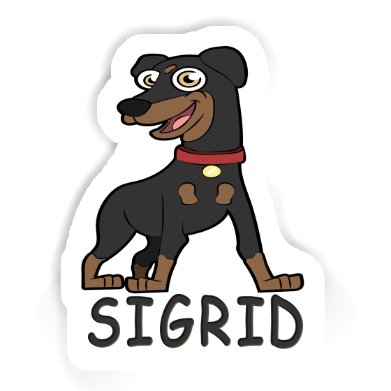 Sigrid Sticker German Pinscher Gift package Image