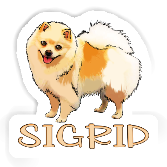 Sticker German Spitz Sigrid Gift package Image
