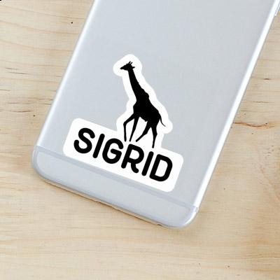 Autocollant Sigrid Girafe Gift package Image