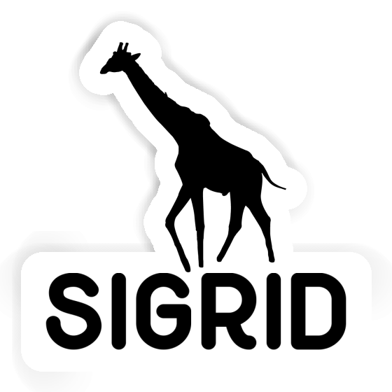 Autocollant Sigrid Girafe Gift package Image
