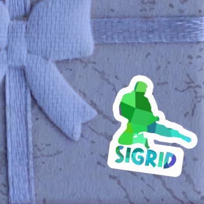 Sigrid Sticker Karateka Laptop Image