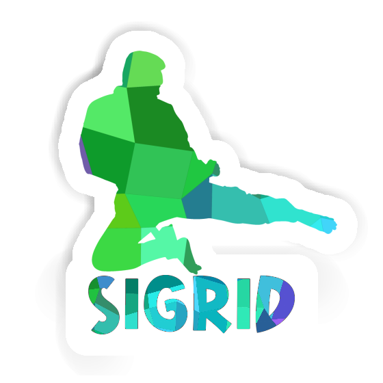 Sigrid Sticker Karateka Gift package Image
