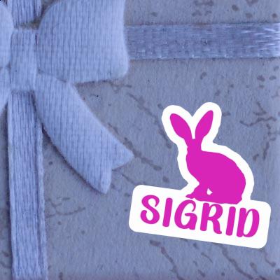 Sigrid Sticker Rabbit Laptop Image