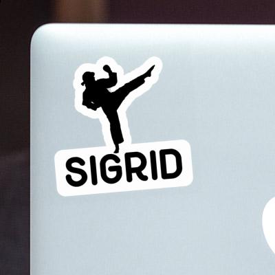 Sticker Sigrid Karateka Laptop Image
