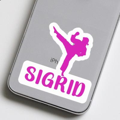 Sigrid Sticker Karateka Laptop Image