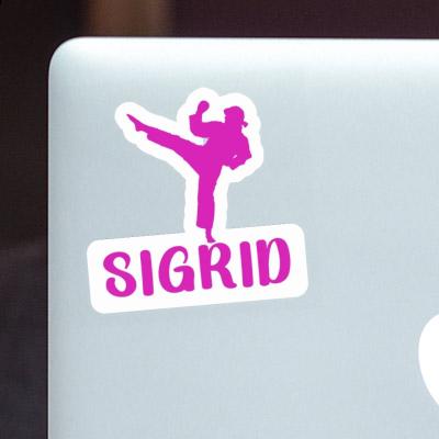 Sigrid Sticker Karateka Image
