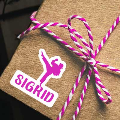 Sigrid Sticker Karateka Notebook Image