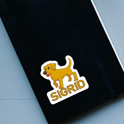 Sticker Sigrid Labrador Gift package Image