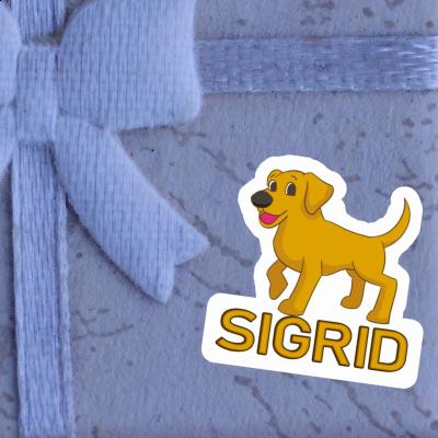 Aufkleber Sigrid Labrador Gift package Image