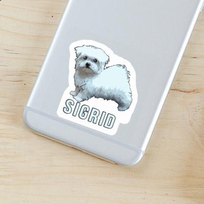 Maltese Dog Sticker Sigrid Image