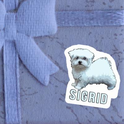Maltese Dog Sticker Sigrid Laptop Image