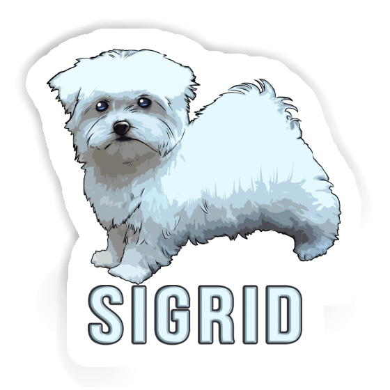 Maltese Dog Sticker Sigrid Gift package Image